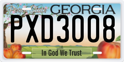 GA license plate PXD3008