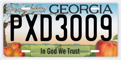 GA license plate PXD3009