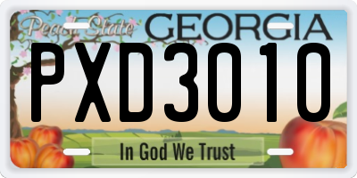 GA license plate PXD3010