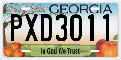 GA license plate PXD3011