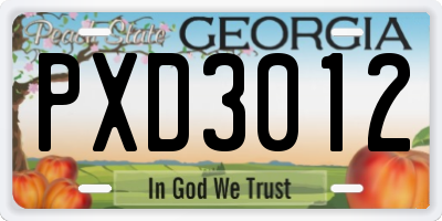 GA license plate PXD3012