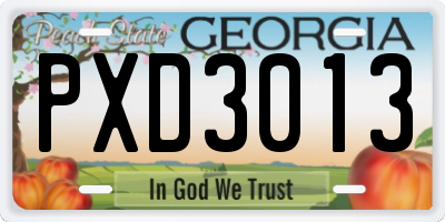 GA license plate PXD3013