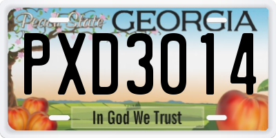 GA license plate PXD3014