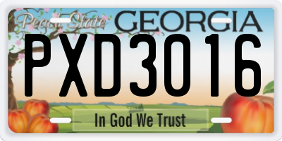 GA license plate PXD3016