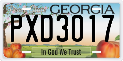 GA license plate PXD3017