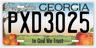 GA license plate PXD3025