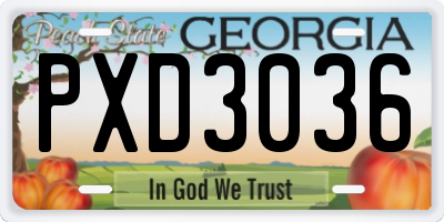 GA license plate PXD3036
