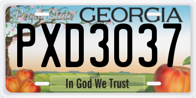 GA license plate PXD3037