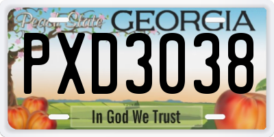 GA license plate PXD3038