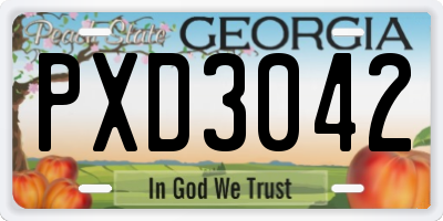 GA license plate PXD3042