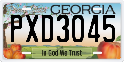 GA license plate PXD3045