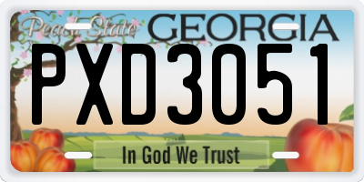 GA license plate PXD3051