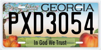 GA license plate PXD3054