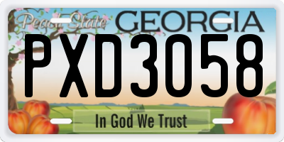 GA license plate PXD3058