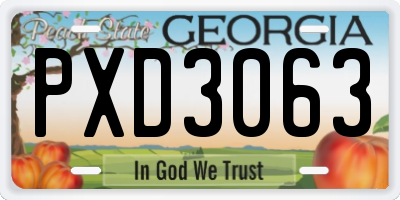 GA license plate PXD3063