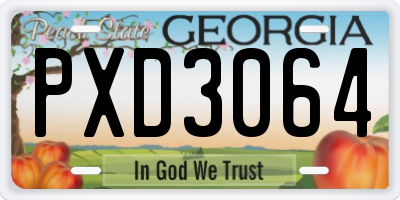 GA license plate PXD3064