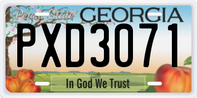 GA license plate PXD3071