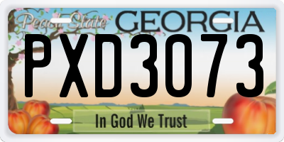 GA license plate PXD3073