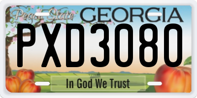 GA license plate PXD3080