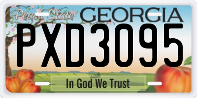 GA license plate PXD3095