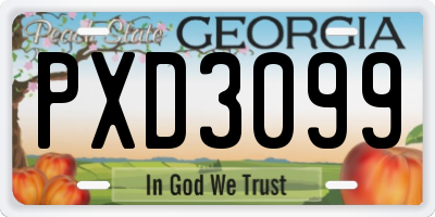 GA license plate PXD3099