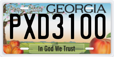 GA license plate PXD3100