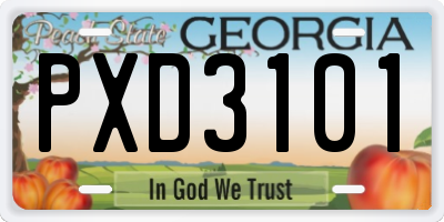 GA license plate PXD3101
