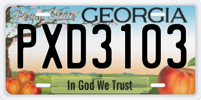 GA license plate PXD3103