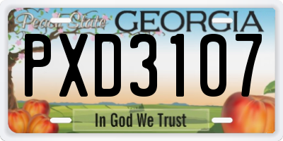 GA license plate PXD3107