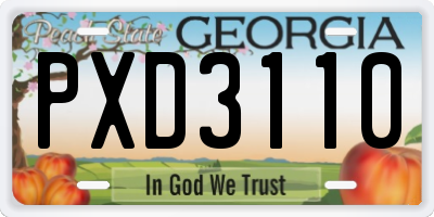 GA license plate PXD3110