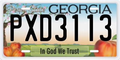 GA license plate PXD3113