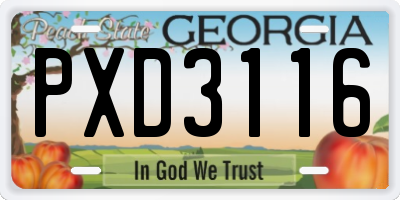 GA license plate PXD3116
