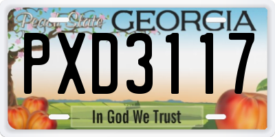 GA license plate PXD3117