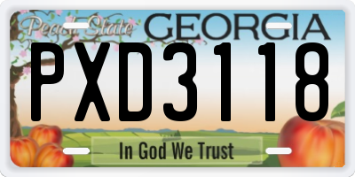 GA license plate PXD3118