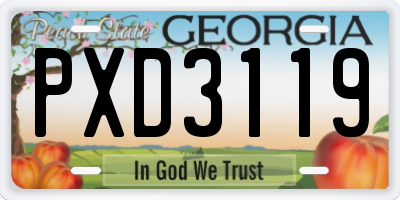 GA license plate PXD3119
