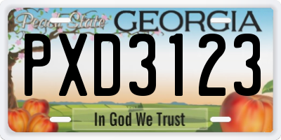 GA license plate PXD3123