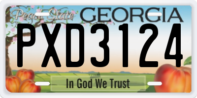 GA license plate PXD3124