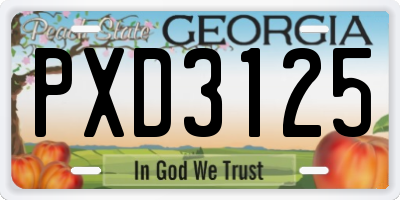 GA license plate PXD3125