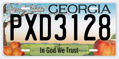 GA license plate PXD3128