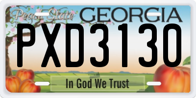 GA license plate PXD3130