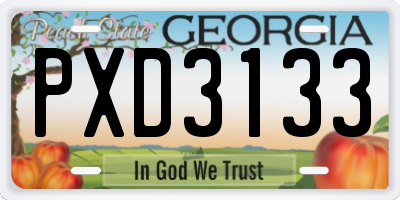 GA license plate PXD3133