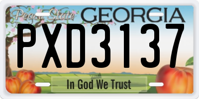 GA license plate PXD3137
