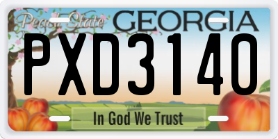 GA license plate PXD3140