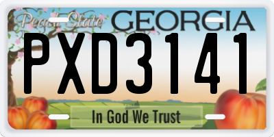 GA license plate PXD3141