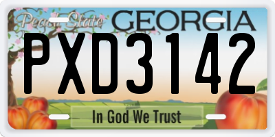 GA license plate PXD3142