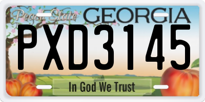 GA license plate PXD3145