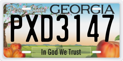 GA license plate PXD3147