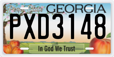 GA license plate PXD3148