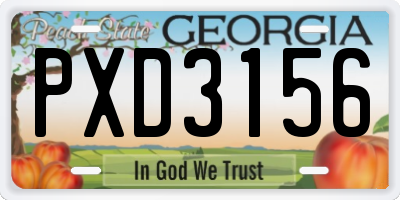 GA license plate PXD3156
