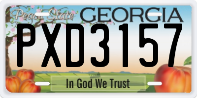 GA license plate PXD3157